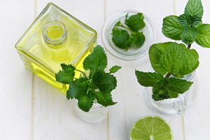 Plant Extracts